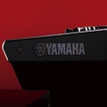 <b>Yamaha QLs</b> enjoy a Pleasance time at the Edinburgh Fringe